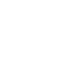 logo--isnet.png